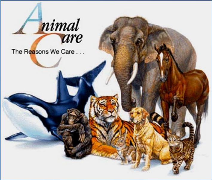 AC Responsibilities Enforcement of the Animal Welfare Act Breeders
