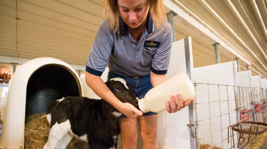 Table of Contents Chapter 1.................... 2 Animal Care Quick Reference User Guide Overview Chapter 2.................... 3 On-Farm Evaluations Chapter 3.