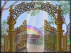 14 Rainbow Bridge Just this side of heaven is a place called Rainbow Bridge. When an animal dies that has been especially close to someone here, that pet goes to Rainbow Bridge.