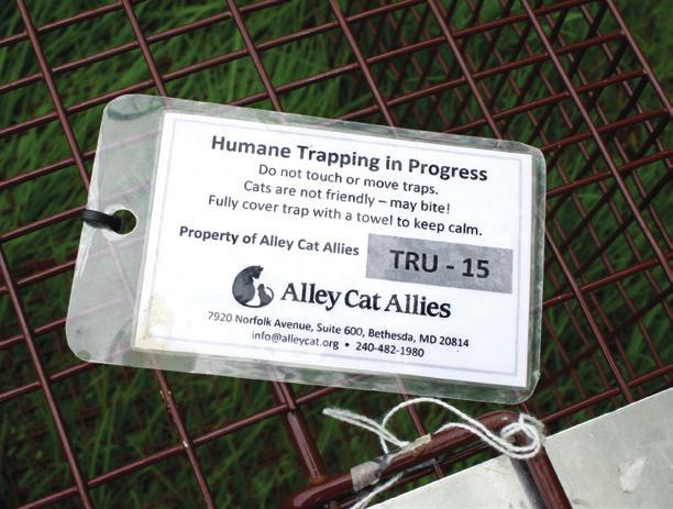 TRAP LABELS (see page 13 for suggested text) with room for the date, cat description, exact location where the cat was trapped, and room for any observations, such as noticeable injuries.