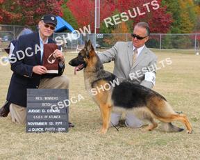 FRI SUN Winners Bitch 334 334 Reserve Winners Bitch 368 368 # of Bitches Shown 13 10 Points Veteran Dogs.
