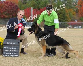 By: AM Sel Exc Ch Int Ch Cross Timber's Cargogh Clihu X Charbo's Luzianne. Dog. Owner: Mary Ward & Mary Tripp. Agent: Donna Calabrese. 340 n/e Barcrest-Kagen's American Idol. DN187415/05. 06/08/2007.
