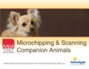 Why pet identification?