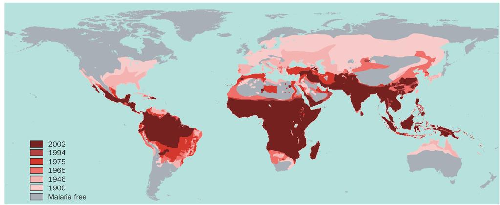 Changes in malaria distribution in the last 100 years (Hay et al 2004) Map represents the distribution of the 4 major species Maximum distribution in preintervention aera around 1900, widest range by