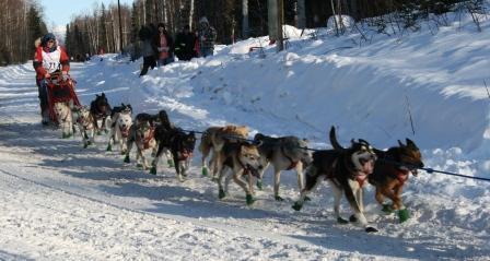 A First-Grader s Alaska Story Martha Dobson, 2011 Iditarod Teacher on the Trail first published March 2011, updated 2015 Alaska Alaska is very very cold. My grandma has ben there lots of times.