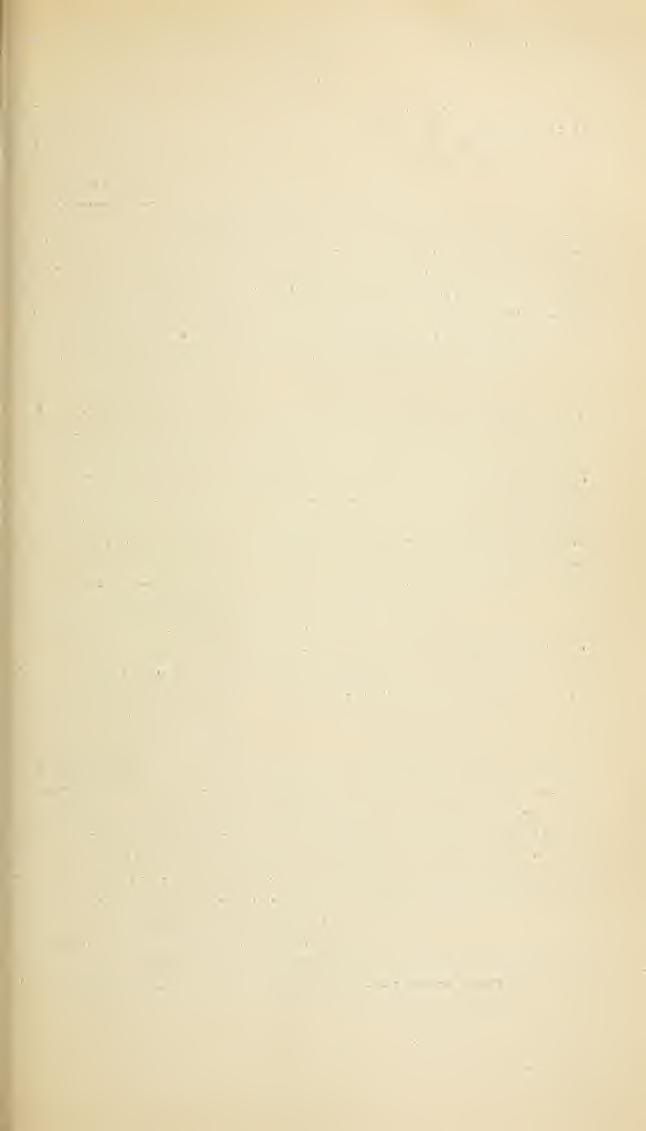 1888.] PROCEEDINGS OF UNITED STATES NATIONAL MUSEUM. 671 Females. Antenna? 15-jointecI l. sa licaph idis n. Bp. Antenme 14-joiuted L. piceus Cress. /. rapa Curtis, P). Antennas 13 jointed L.