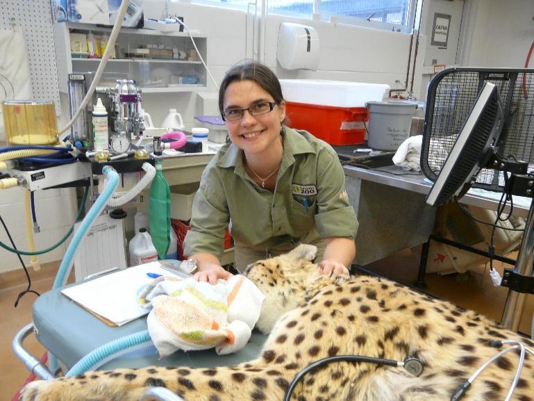 Dr. Pauline Delnatte, DVM, IPSAV, DVSc, DipIACZM, DipIECZM Veterinarian Dr. Pauline Delnatte is one of two staff veterinarians at the Toronto Zoo.