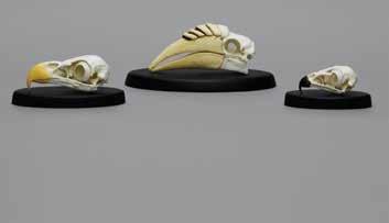00 Oval Display Bases (Skulls Not Included) These black resin bases