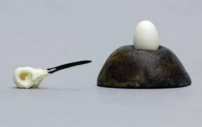 1. Ruby-throated Hummingbird Skull and Egg Set