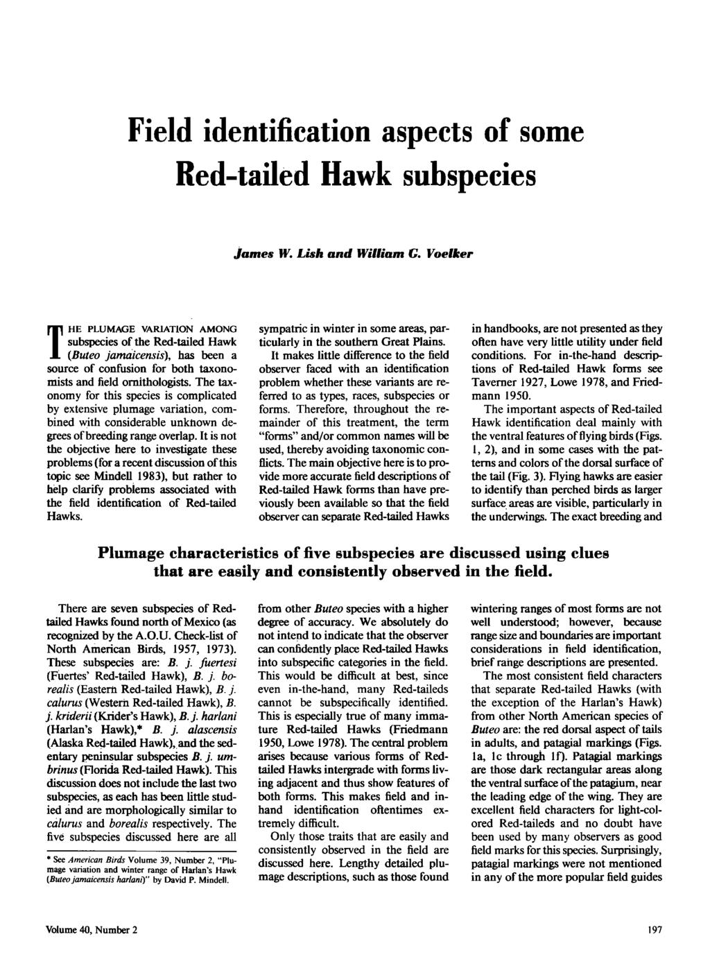 IDENTIFICATION Field identification aspects of some Red-tailed Hawk subspecies James W. Lish and William G.