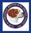 Internationale (FCI) 1911 French Brittany Gun Dog Association