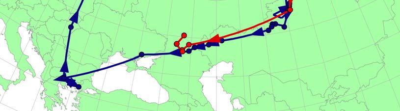 The solid lines show the actual routes followed by two male birds ( Finn in blue & Imre in red) ringed and satellite tagged at the Valdak Marshes, northern Norway, in summer 2006.