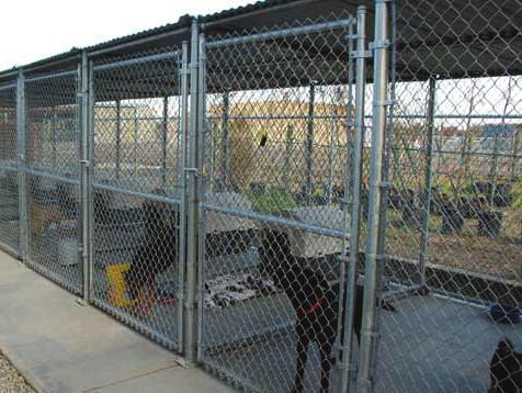 One sponsorship may provide space and care for up to 15 dogs a year.