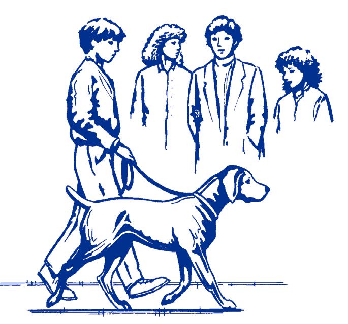 In this test, the dog may show some interest in the strangers but should continue to walk with the handler, without evidence of over exuberance, shyness or resentment.