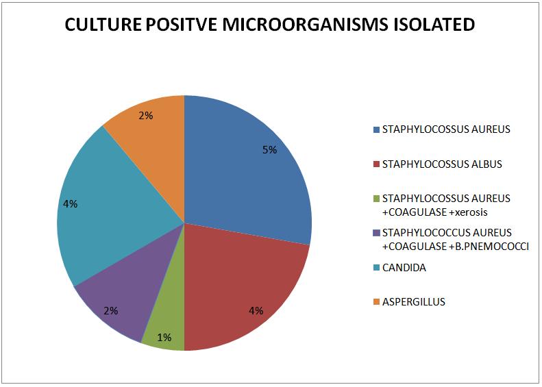 Microbiological findings: GROWTH PATTERN No.
