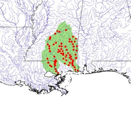 Emydidae Graptemys gibbonsi 029.3 Figure 5. Distribution of Graptemys gibbonsi in the southeastern USA (Louisiana and Mississippi).