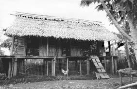 A two-level kokorako house at Kastom Gaden Association, Burns Creek, Honiara, Solomon Islands. Kokorako live in the house and in the space below.