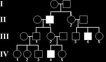 12 Sample autosomal recessive pedigrees: D = not having trait d = having trait 25) What seems to be the pattern for identifying a pedigree as being autosomal recessive?