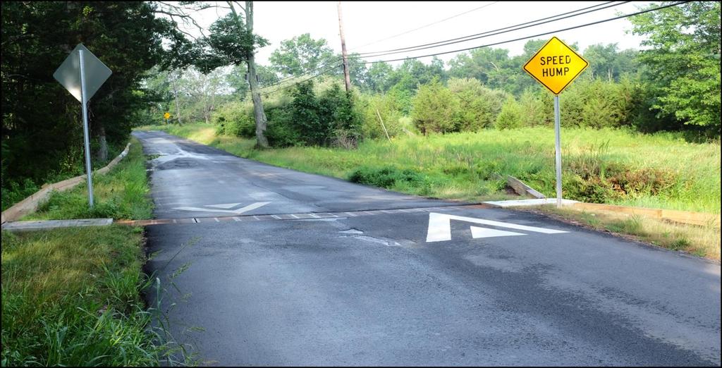 A Roadway Wildlife Crossing Structure Designed for State-threatened Wood Turtles in New Jersey, United States Brian Zarate
