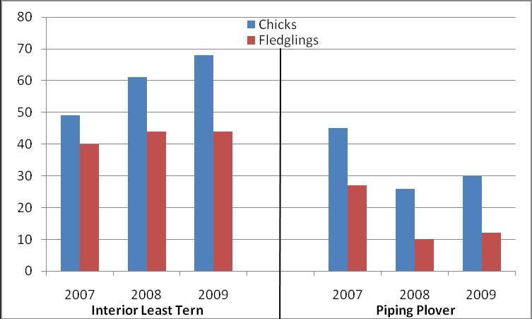 Figure 13. Number of initiated and successful interior least tern and piping plover nests observed at monitored river island and sandpit sites within Program associated habitats, 2007 2009. Figure 14.