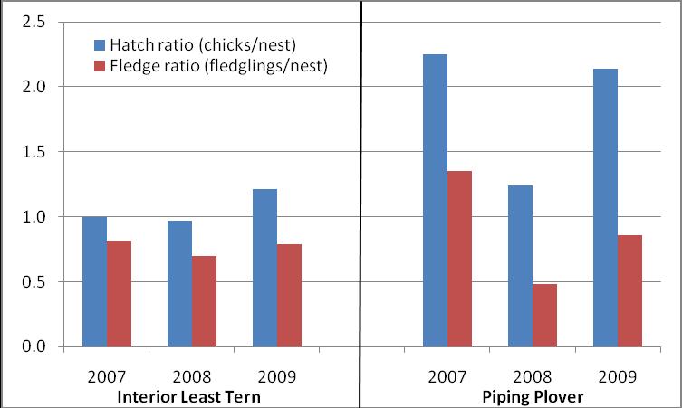Figure 15. Nest-based hatch and fledge ratios for interior least tern and piping plover nests observed at monitored river island and sandpit sites within Program associated habitats, 2007 2009.