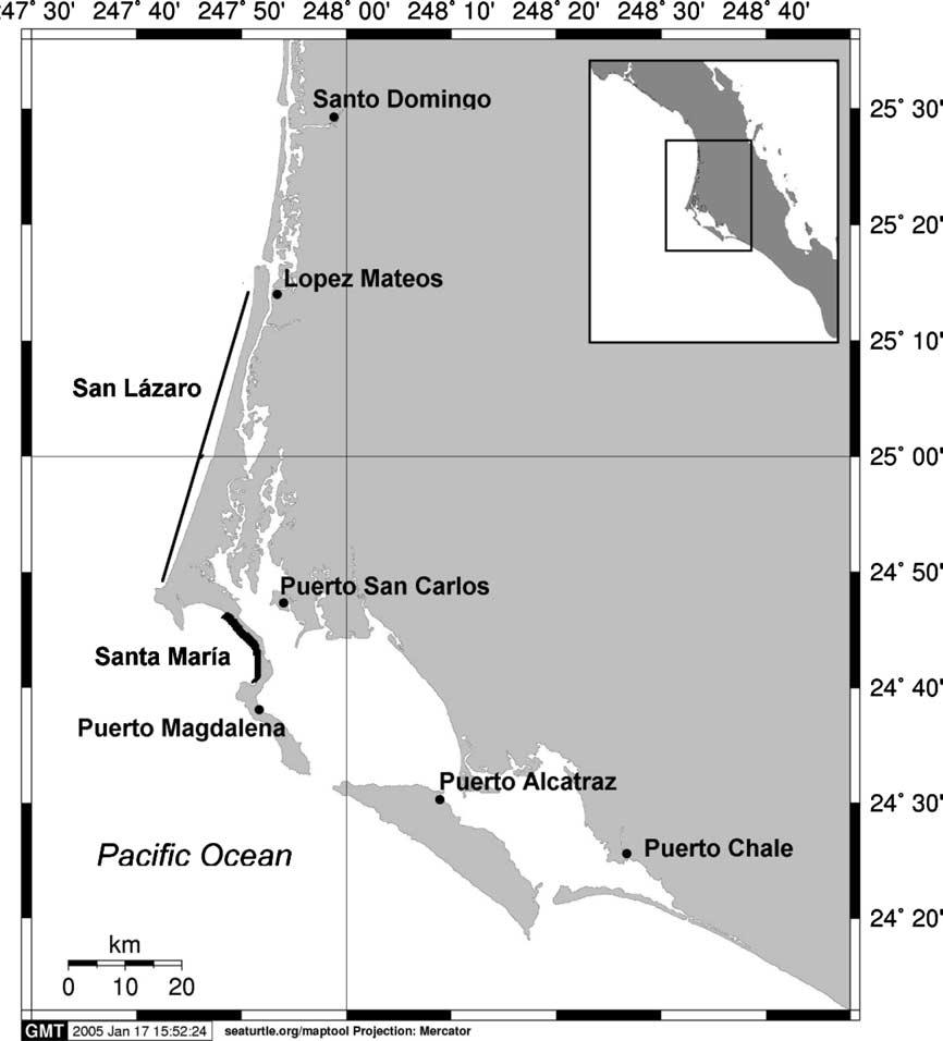 BIOLOGICAL CONSERVATION 128 (2006) 327 334 329 Fig. 1 Map of the study area, Bahía Magdalena, with the census locations. 3. Results Loggerhead and black turtles were the species most commonly encountered at all sites (Fig.