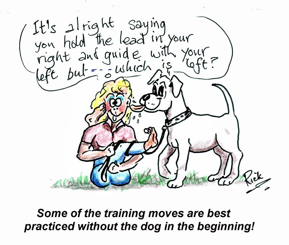 ADVANCED OBEDIENCE TRAINING Up to now we have been talking about basic obedience skills which are the minimum requirement for you to have a well mannered companion who is not a nuisance to the
