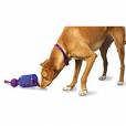 ALL PUPPIES NEED TO CHEW THE IMPORTANCE OF CHEW TOYS As we have said previously dogs need to chew, especially puppies.