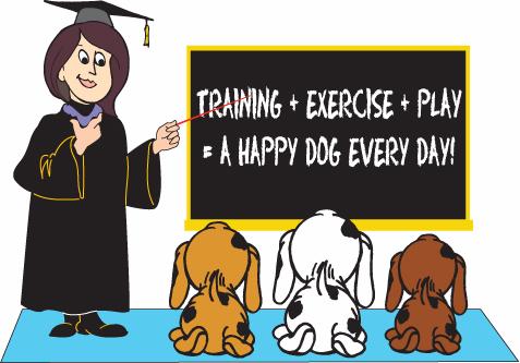 Puppy kindergarten or pre-school is an important place to socialise your pup from an early age during the critical period of its life between 8 to 12 weeks of age.