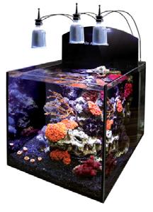 Aquaria 560.00 4025901126426 Yasha Saltwater aquarium Ready to go saltwater aquarium with proven technology and high quality components.