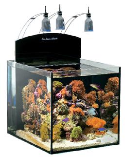 Aquaria 565.00 4025901126501 Blenny Saltwater aquarium Ready to go saltwater aquarium with proven technology and high quality components.