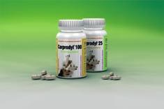 Carprodyl 25 Palatable tablets Non steroidal anti-inflammatory for small and medium dogs FORMULA: Carprofen 25 mg, excipients q.s. ad.