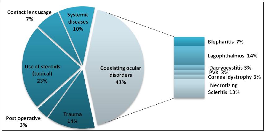 Figure 1: Risk factors associated with infective keratitis PVK= Pre-existing viral keratitis Among the ocular disorders, lid disorders and necrotizing scleritis were the primary causes.