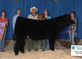 Full siblings to the Champion Steer at the 2008 Illinois State Fair and the bulls White Noise and Addiction.