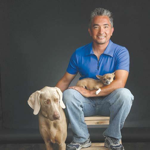 Clark County Public Library Presents Cesar Millan Lessons From A Pack