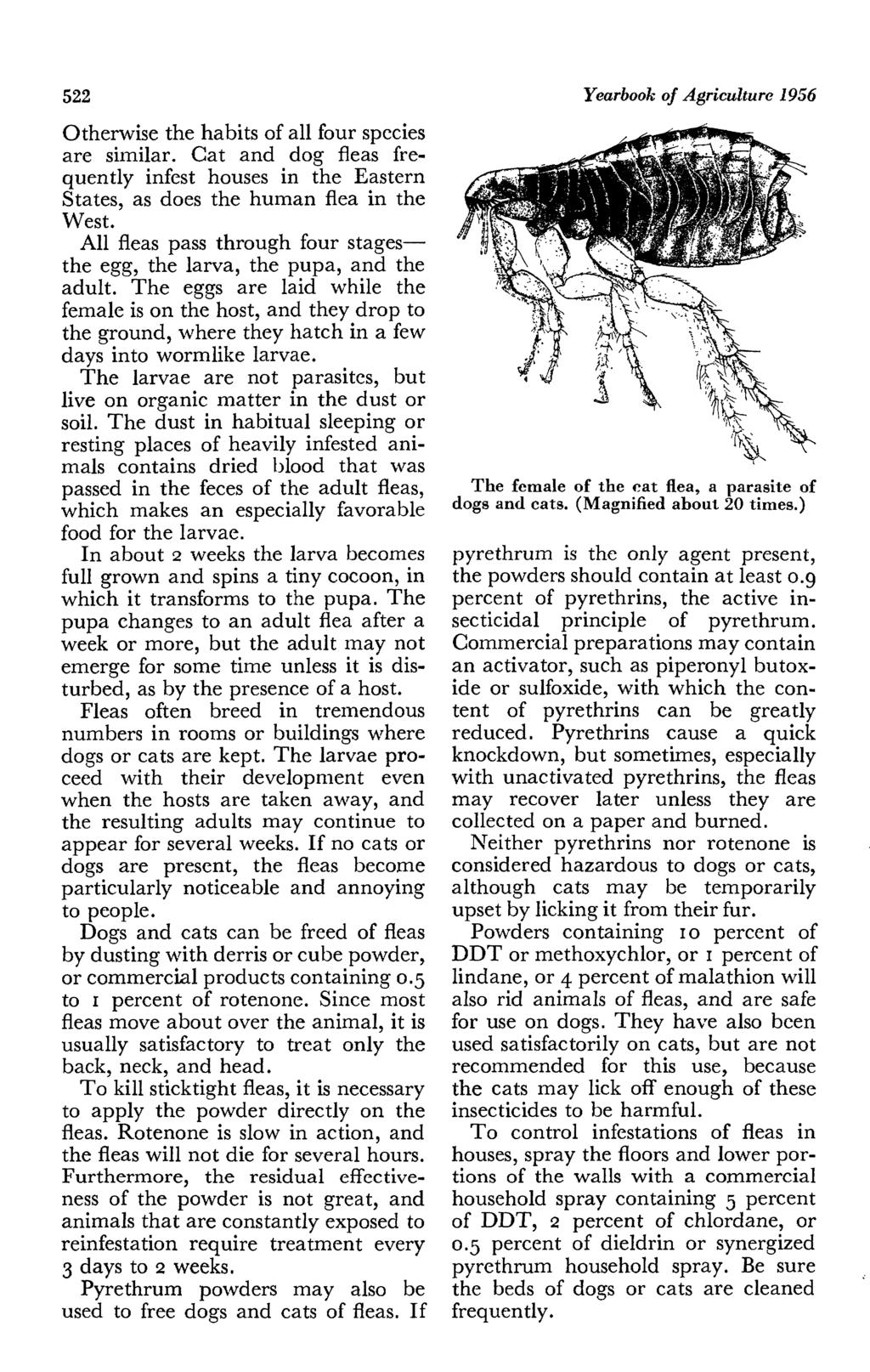 522 Yearbook of Agriculture 1956 Otherwise the habits of all four species are similar. Gat and dog fleas frequently infest houses in the Eastern States, as does the human flea in the West.