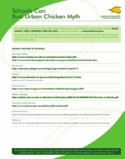 Australian chickens are larger today, but not due to the use of hormones, a practice which has not been used for over 40 years, but which has lived on in urban
