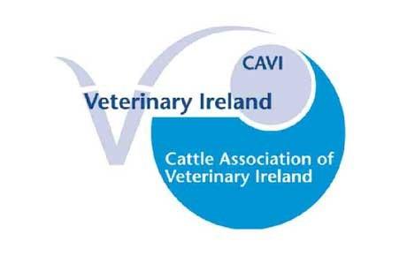 CATTLE ASSOCIATION OF VETERINARY IRELAND ANNUAL CONFERENCE 2017