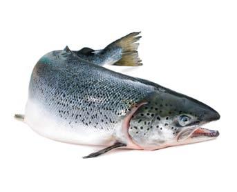 Aim to eat fish high in DHA and EPA omega-3 fatty acids two to three times a week.