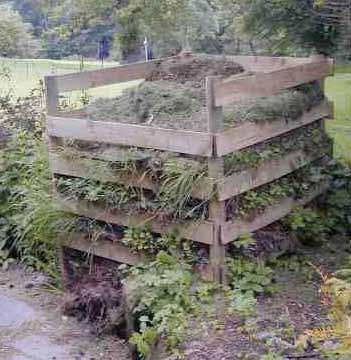 A large compost heap, in a sunny location with adjacent cover provided by logs and herbaceous vegetation (Paul Edgar) Egg-laying heaps must be sited in sun or partial sun.