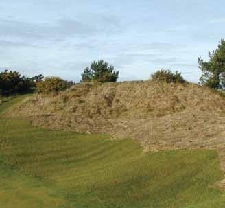 10.4. Golf courses In general, management of roughs as grassland and scrub will meet the needs of reptiles.