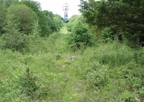 Wayleave clearance can also provide important wildlife corridors by linking habitats that would otherwise be fragmented by
