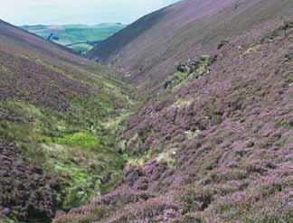 HL12: Supplement for management of heather, gorse and grass by burning, cutting or swiping. HL13: Moorland re-wetting supplement. HL15: Seasonal livestock exclusion supplement.