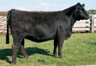 I. Sire: GNB Shear Power 81X on 5/16/14 Est. Plan Mating 10 1.85 68 102 11 25 59 * 9.85 Carcass: 32.85 -.29.21 -.05.78 123 69 57 HL Ms.