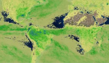 protected micro environments, or long lasting pools. Updated monthly. -NASA Earth Observations.