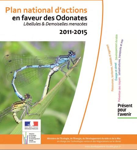 Dragonflies Are Endangered In France A French Government