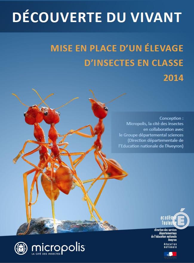Recommandations of the French Department For Education Raising insects in class is