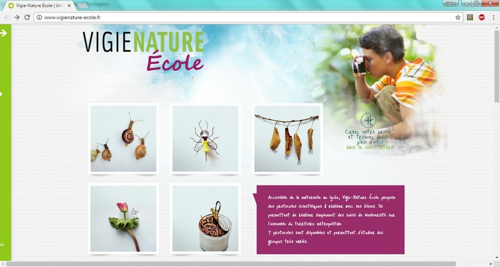''Vigie Nature Ecole'' This program is made by the ''Muséum National