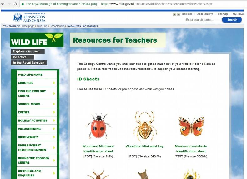 Raising Insects In UK Schools We could not find any