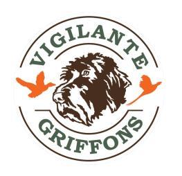 Thank you for your interest in Vigilante Griffons - home of hunting Wirehaired Pointing Griffons. We look forward to working with you and placing a versatile hunting companion in your home.